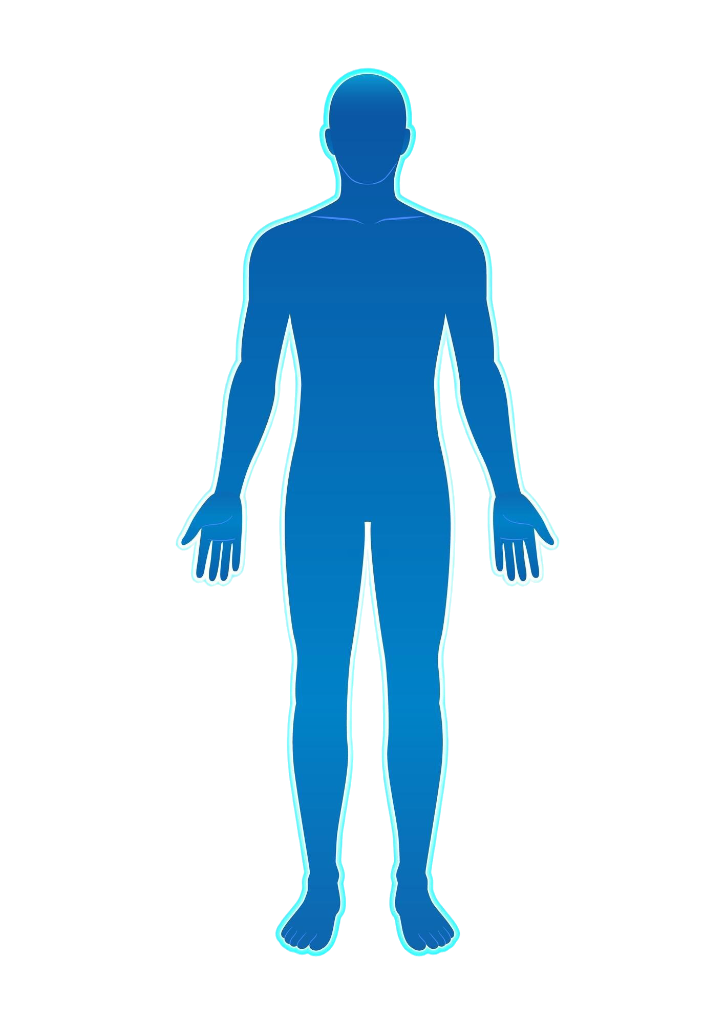 Human Body Silhouette